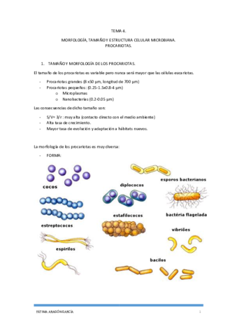 TEMA 4.pdf