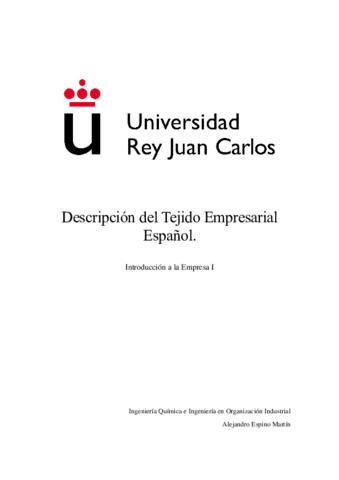 Descripcion-del-Tejido-Empresarial-Espanol.pdf
