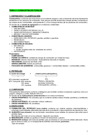 TEMA-2.pdf