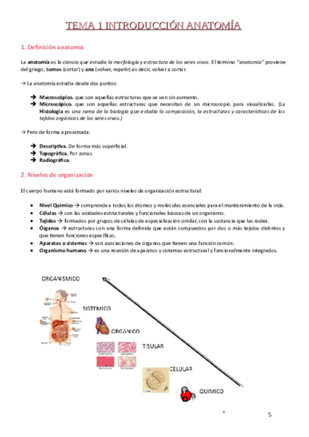 Tema-1.pdf