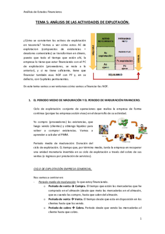Tema-5-AEF.pdf