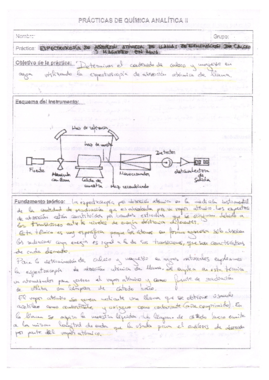 Informes Primer Cuatrimestre.pdf