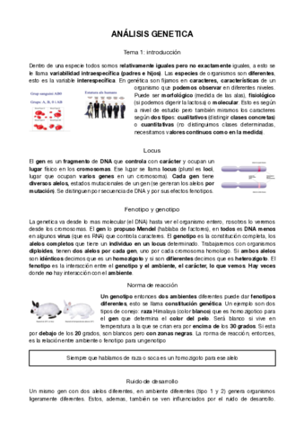 analisis-geneticaremoved.pdf