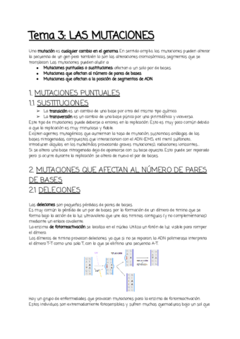 Tema-3.pdf