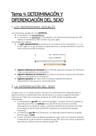 Tema-4.pdf