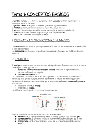 Tema-1.pdf