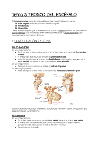 Tema-3.pdf