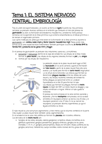 Tema-1.pdf