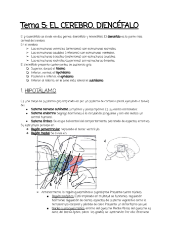 Tema-5.pdf