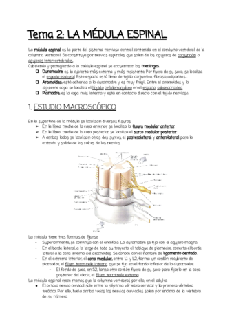 Tema-2.pdf