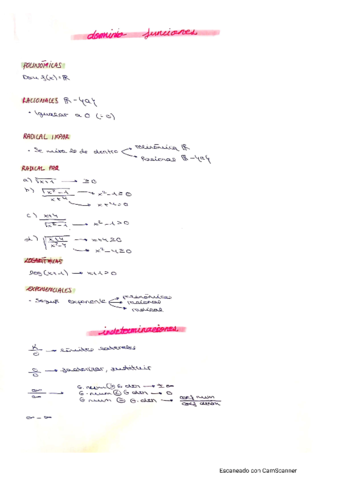 DOMINIO-E-INDETERMINACIONES.pdf