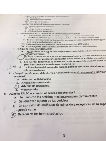 examen-histologia.pdf