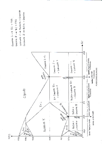 Ejemplo-01-Corregido-Diagrama-Fe-C.pdf