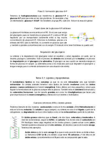 metabolisme-parcial-2.pdf