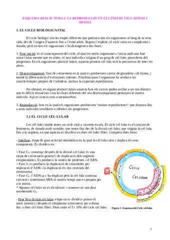 ESQUEMA-RESUM-TEMA-4-Nadia-Queralt.pdf
