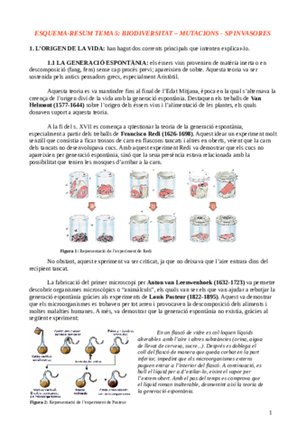 ESQUEMA-RESUM-TEMA-5-Nadia-Queralt.pdf