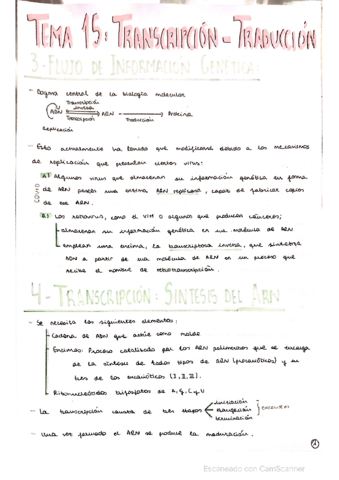 TRANSCRIPCION-Y-TRADUCCION-DEL-ARN.pdf