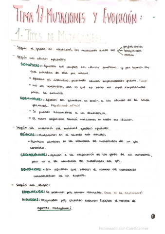 MUTACIONES-Y-EVOLUCION-.pdf