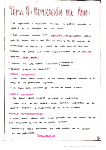 REPLICACION-DEL-ADN.pdf
