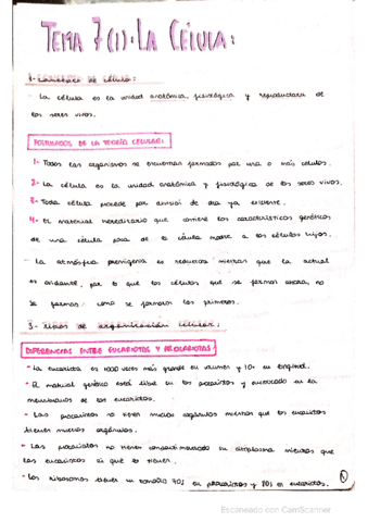 CELULA-.pdf