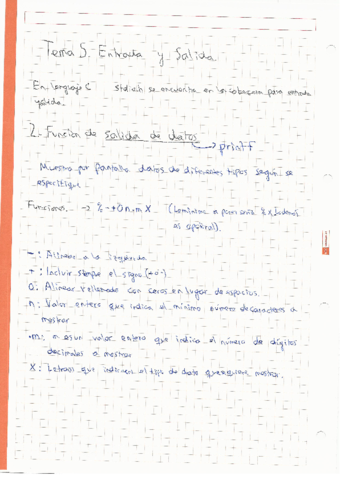 Apuntes-Tema-5-Entrada-y-Salida.pdf