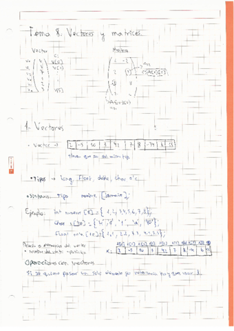 Apuntes-Tema-8-Vectores-y-Matrices.pdf