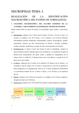 Tema 3 Necropsias.pdf