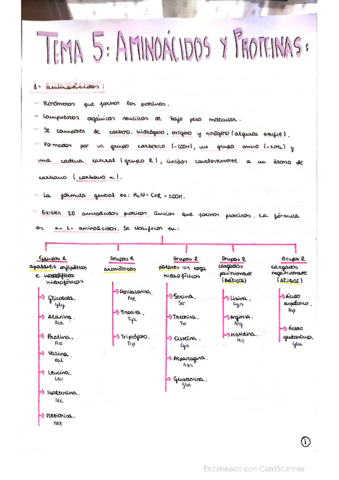 AMINOACIDOS-Y-PROTEINAS-.pdf