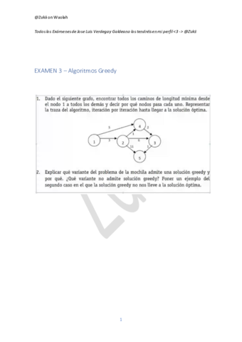 Examen-3-Teoria-Verdegay.pdf