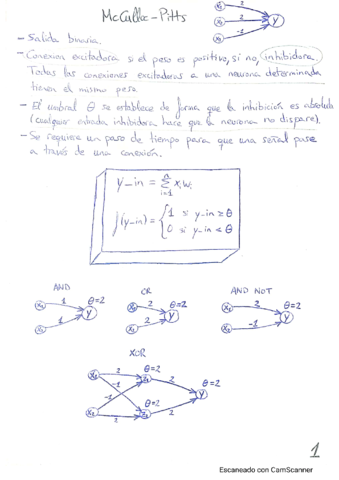 Parcial-1-Neuro.pdf