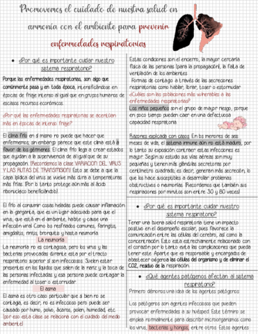 ENFERMEDADES-RESPIRATORIAS.pdf