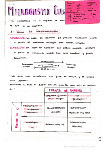 METABOLISMO-CELULAR.pdf