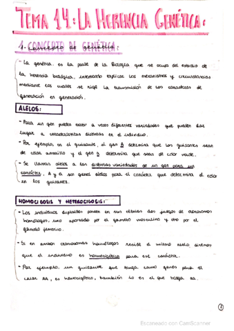 GENETICA-.pdf