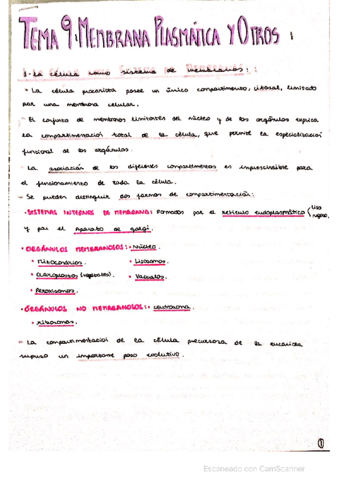 ESTRUCTURAS-MEMBRANOSAS.pdf