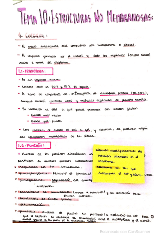 ESTRUCTURAS-NO-MEMBRANOSAS.pdf
