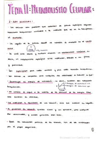 ENZIMAS-Y-VITAMINAS-.pdf