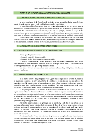 TEMA-METAFISICA.pdf