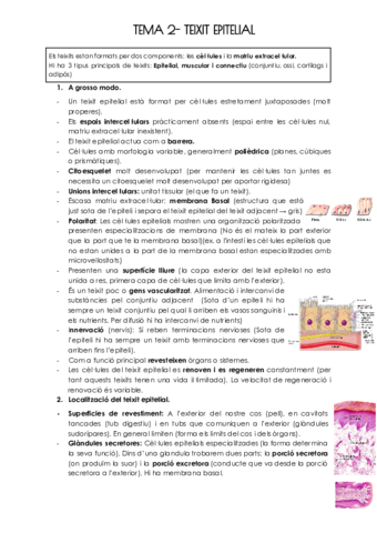 TEMA-2-TEIXIT-EPITELIAL.pdf