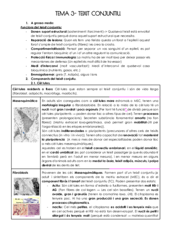 TEMA-3-TEIXIT-CONJUNTIU.pdf
