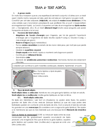 TEMA-4-TEIXIT-ADIPOS.pdf