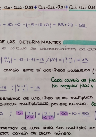 Determinantes-.pdf
