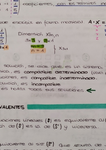 Sistemas-de-Ecuaciones-Lineales.pdf