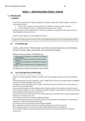Resumen-Tema-2.pdf