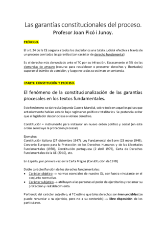 Las-garantias-constitucionales-del-proceso.pdf