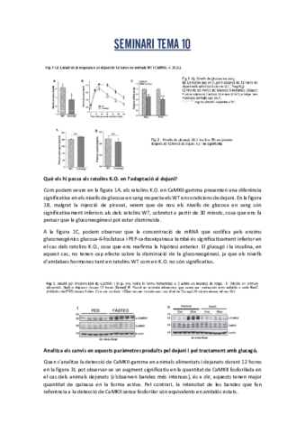 Seminari-10.pdf