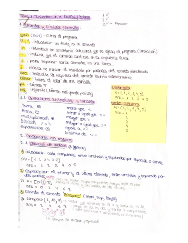Tema-1-introduccion-a-octave.pdf