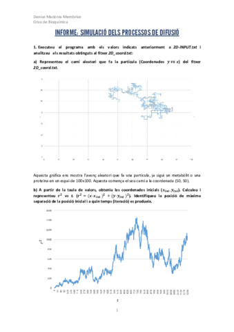 Practica-2-difusio.pdf