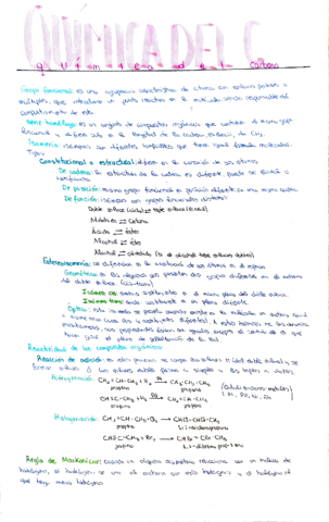 quimica-del-carbono.pdf