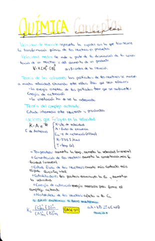 reaccion-de-equilibrio.pdf