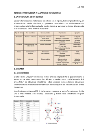 TEMA-10-AQI-MIO-ESTE.pdf